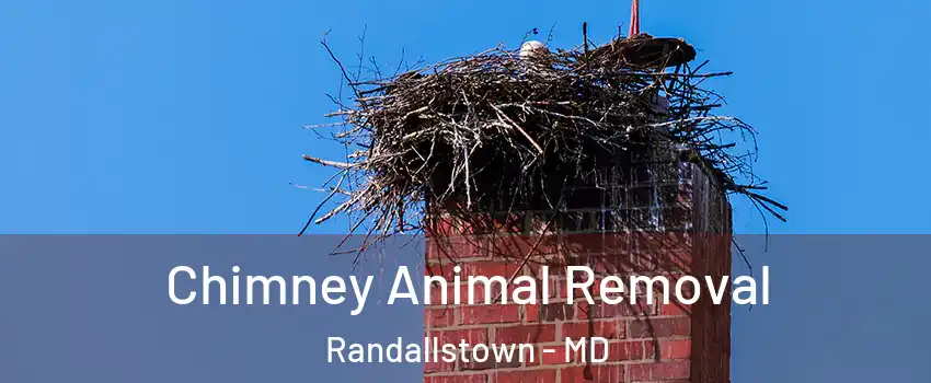 Chimney Animal Removal Randallstown - MD