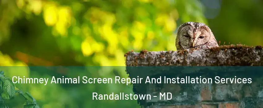  Chimney Animal Screen Repair And Installation Services Randallstown - MD