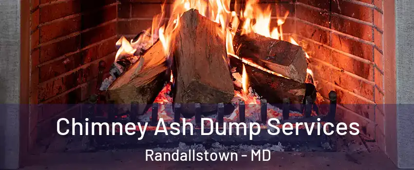  Chimney Ash Dump Services Randallstown - MD