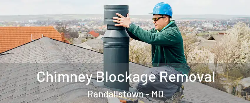  Chimney Blockage Removal Randallstown - MD