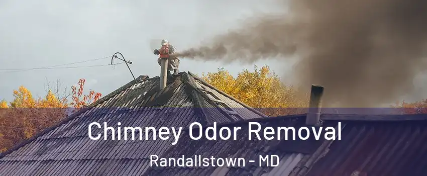  Chimney Odor Removal Randallstown - MD