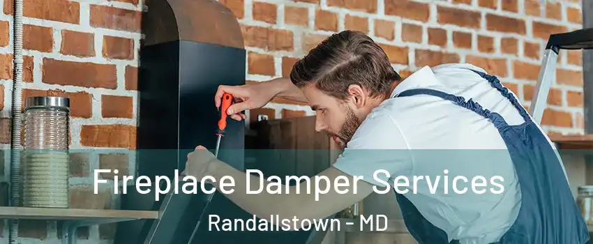  Fireplace Damper Services Randallstown - MD