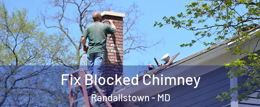  Fix Blocked Chimney Randallstown - MD