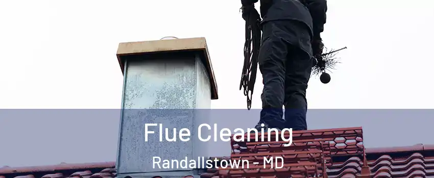  Flue Cleaning Randallstown - MD