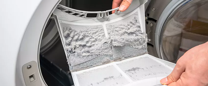 Best Dryer Lint Removal Company in Randallstown, Maryland