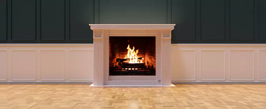 Napoleon Electric Fireplaces Inspection Service in Randallstown, Maryland