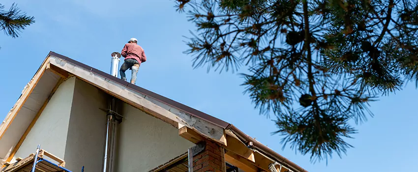 Birds Removal Contractors from Chimney in Randallstown, MD