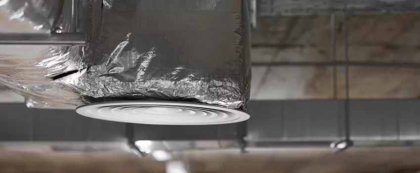 Signs of Dust Accumulation in Vents in Randallstown, MD