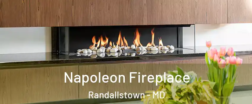  Napoleon Fireplace Randallstown - MD