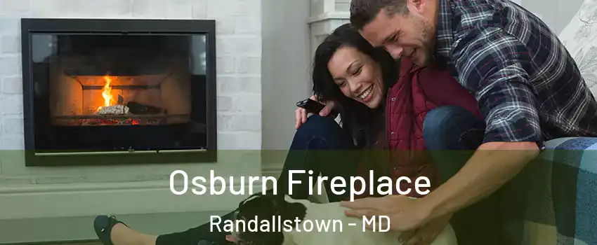  Osburn Fireplace Randallstown - MD